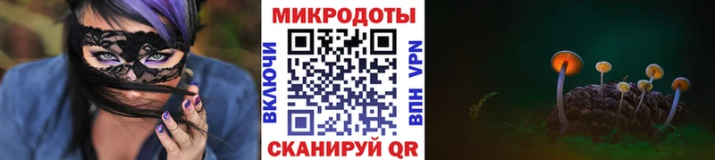 купить закладку  Дальнереченск  omg ссылка  Псилоцибиновые грибы мицелий 